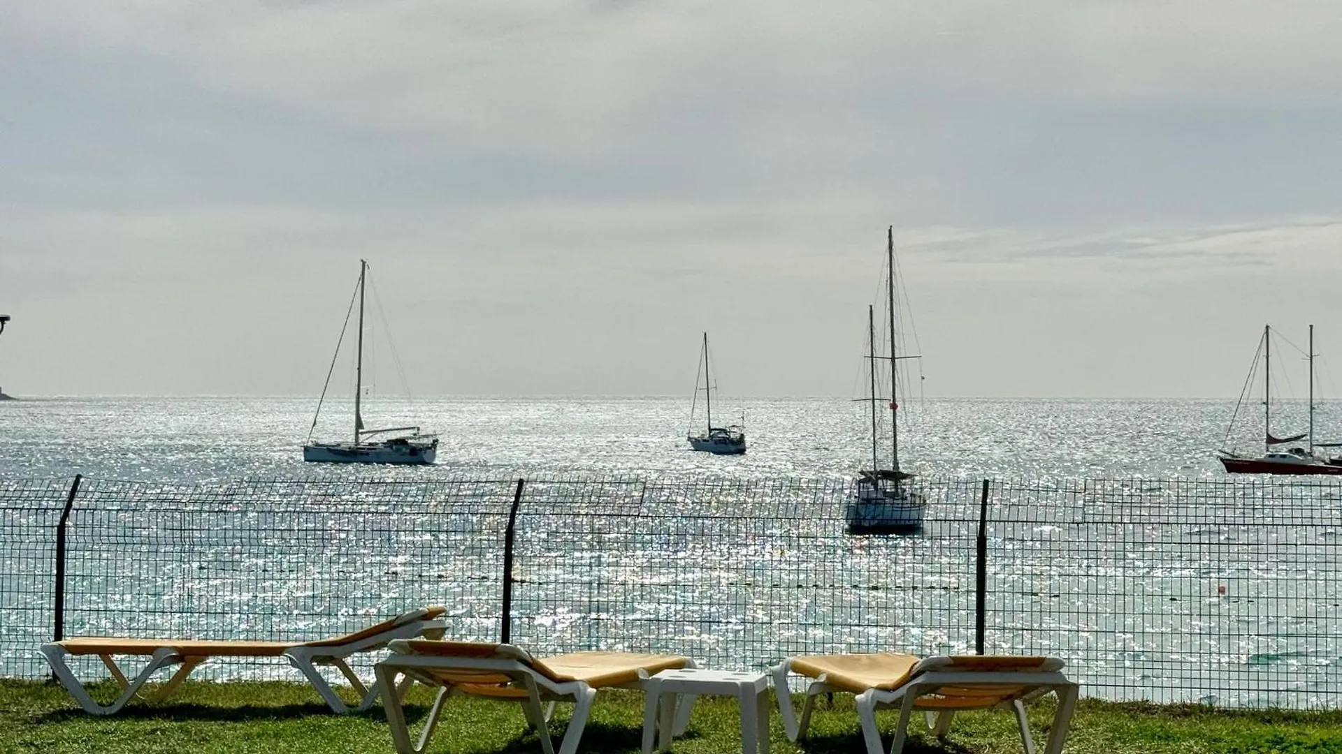 Canaryislandshost I Marina Arguineguin